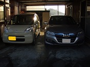 �V�Q�҂��傫�Ȋ炵�Ă��܂��B