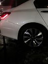 Honda@DNA�ė��I