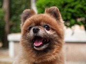 �������S���Ȃ���