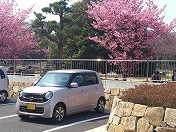 �`�F���[�s���N�̉Ƒ�