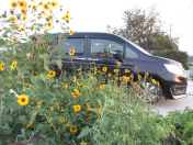 �X�e�b�v ���S����3�Z��