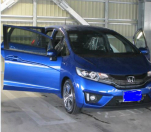 �h�L�h�L�̑Ζ�