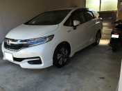 ����Ȃ�X�e�b�v ���S������ɂ��̓V���g��