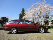 �A�R�[�h ���S���@20�N