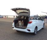 �t���t���b�g��T���āI