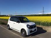 ����ƌo�ϐ��̃o�����X���G��