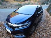 �{�c�@��Y����A���肪�Ƃ��B