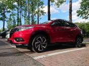 �l�n�i�ԁj���