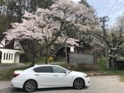 �����ō����AWD!?����́A���W�F���h�I