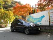 FIT�V�ԁu�鎭����o�q�ł����v