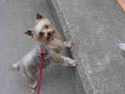 �������ā@�܂悢�܂���