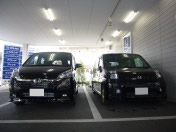 �܂����ł����H�i�΁j