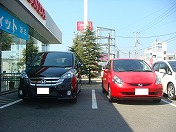 �r�b�O�_�f�B