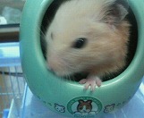 ����σX�e�b�v���S�������Ȃ��ł��傤�I