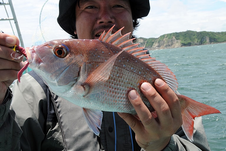 記者も市販のひとつテンヤとスイムシュリンプの組み合わせで本命をキャッチ