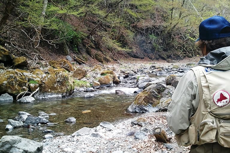 一見すると平坦な流れにも適度な深みが出来ている。水がクリアなのであまり近づきすぎないようにしながら、一投目で確実にフライをねらった流れに落としたい
