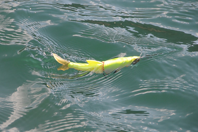 S字系ビッグベイトもこの時期に欠かせないルアー。小さなルアーを見切る大型が、このサイズのアピールにだけ俄然反応することがある
