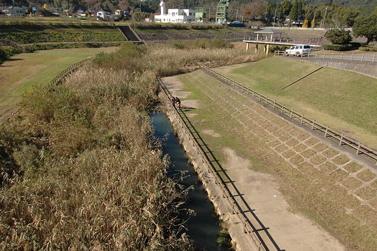 上流側にはこうしたホソもあり、ノベザオで小もの釣りを楽しむこともできる