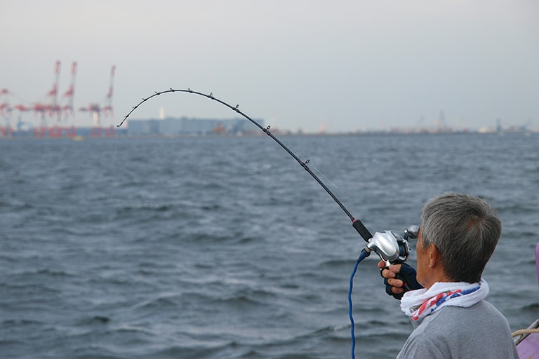 ベテランの中には誘いを巧にかけて釣果を伸ばす方もいますが、タナさえ合っていればじっとしていてもアタリは訪れます