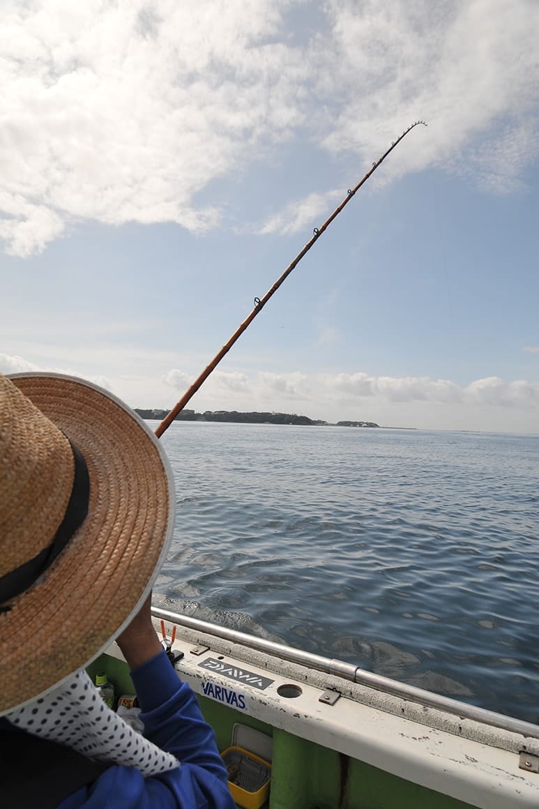 仕掛けが着底したらサオをあおって一旦底を切り、サオ先を小刻みに揺らしながら下げて着底させます