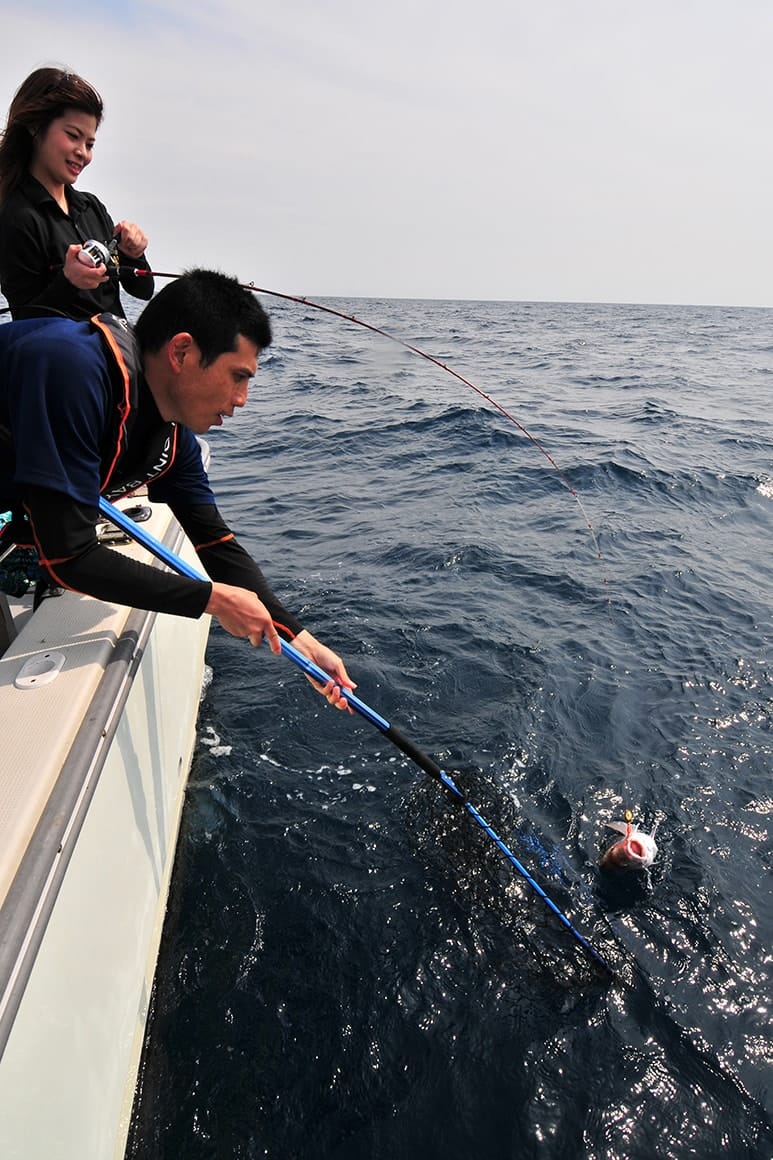 ドテラ流しゆえ、深場で大型を掛けると抵抗は相当なものだが、焦らず一定のロッド角度を保ってじっくり巻けばバレることなく大型が浮上する。これも遊動式の恩恵だろう