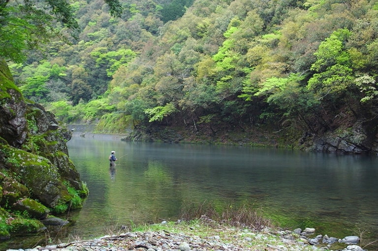 熊本県／川辺川のヤマメ