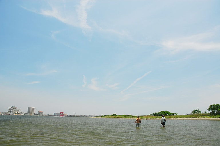 静岡県／浜名湖のクロダイ