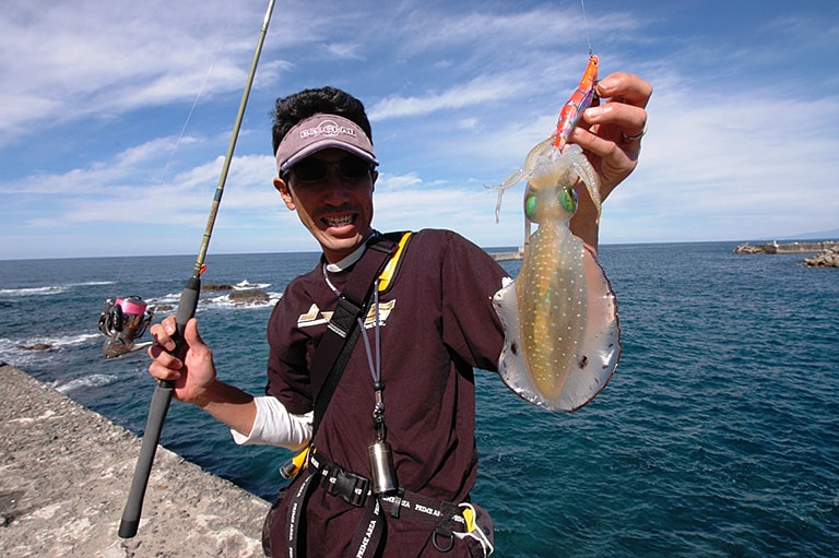 山形県／庄内エリアのアオリイカ