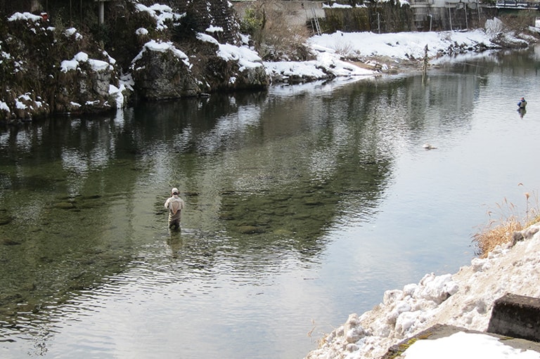 岐阜県／長良川・吉田川のアマゴ
