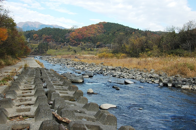 群馬県／吾妻川のニジマス釣り