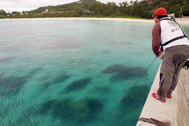 沖縄県／南国のエギング＆ロックフィッシュゲーム