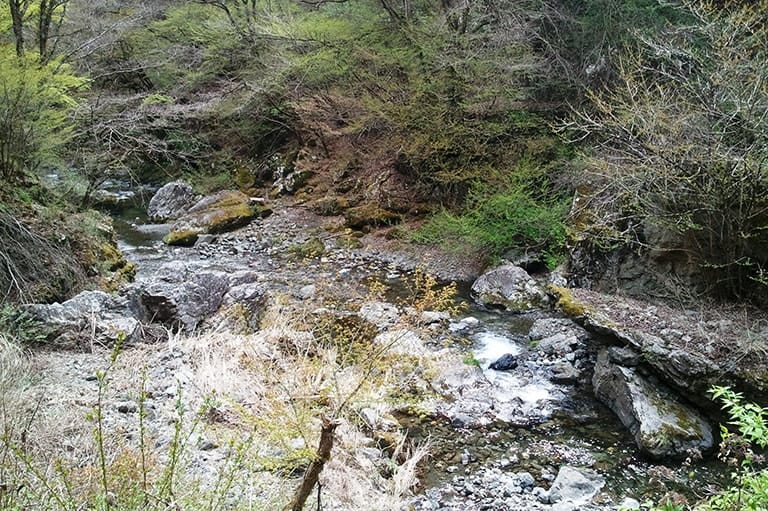埼玉県／秩父のヤマメ釣り