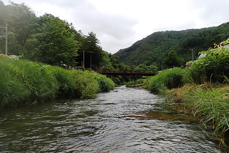 岩手県／岩手大川のヤマメ・イワナ釣り