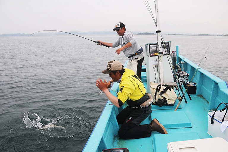 千葉県／南房のマゴチゲーム