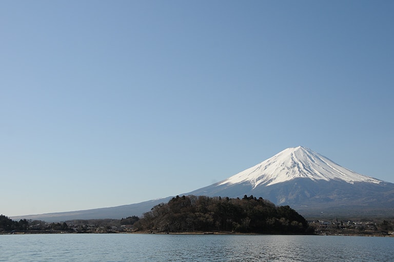 山梨県／河口湖のブラックバス
