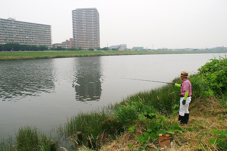東京都／江戸川・多摩川のテナガエビ