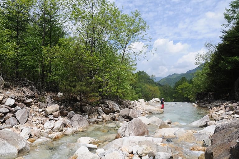 長野県／金峰山川のイワナ