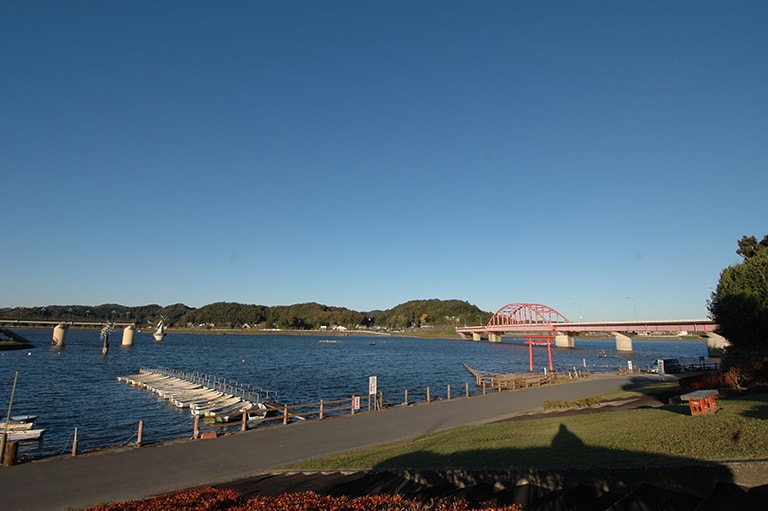 千葉県／高滝湖のブラックバスほか