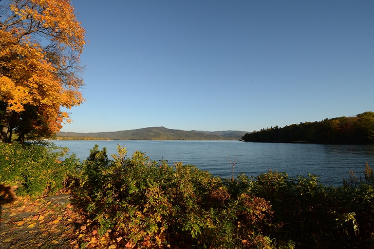 北海道／阿寒湖のニジマス