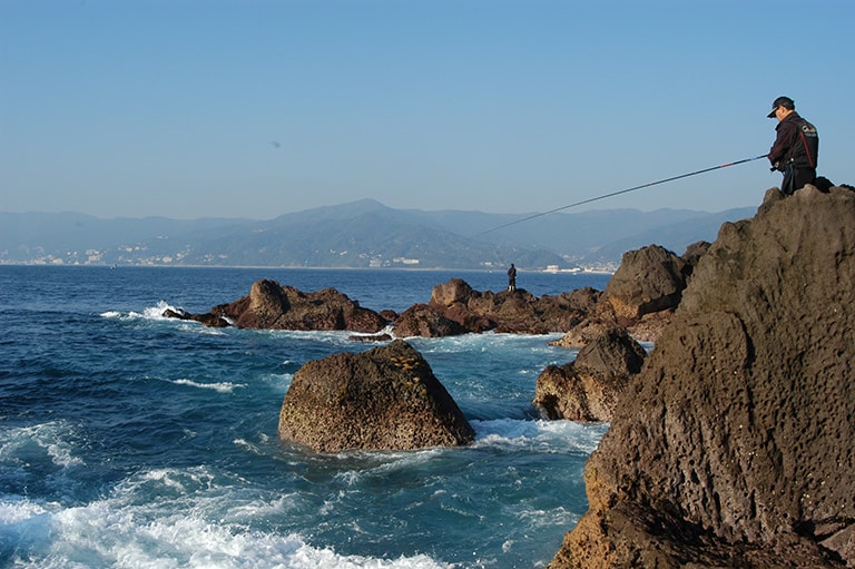 神奈川県／真鶴半島のメジナ釣り