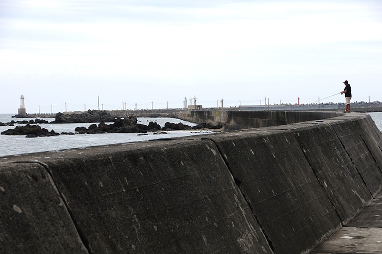 千葉県／銚子・一ノ島堤防のヒラメ＆シーバス