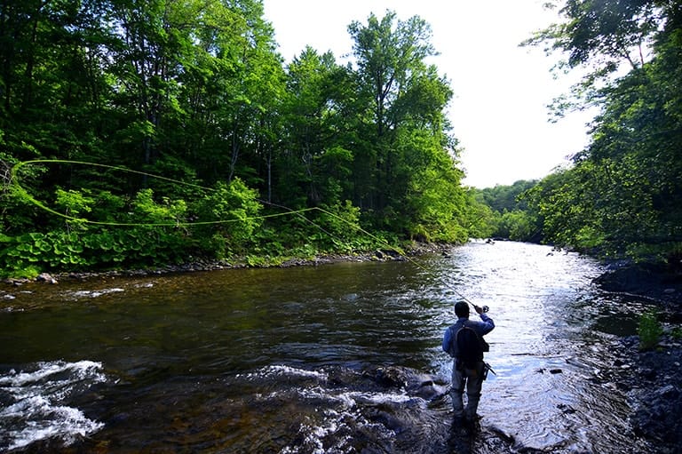 北海道／渚滑川のニジマス