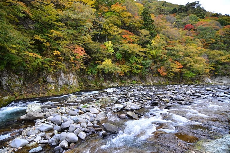 栃木県／箒川のニジマス釣り