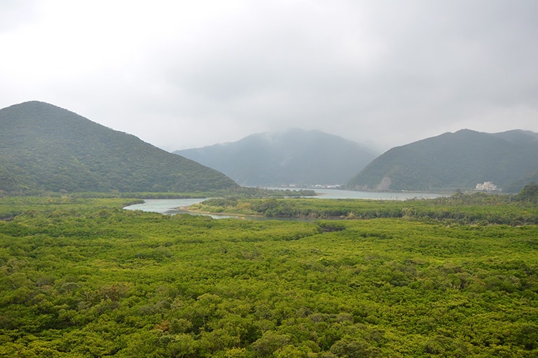 鹿児島県／奄美大島のミナミクロダイ釣り
