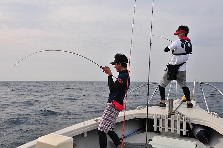 福岡県／響灘のマダイ