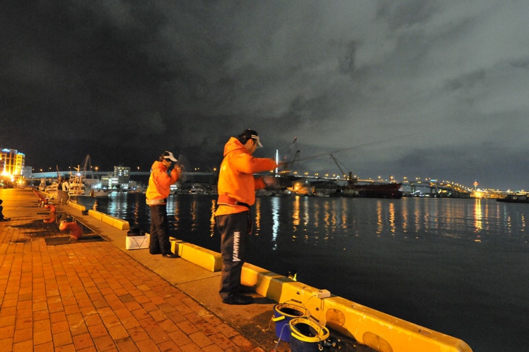 福岡県／博多湾のヒイカ