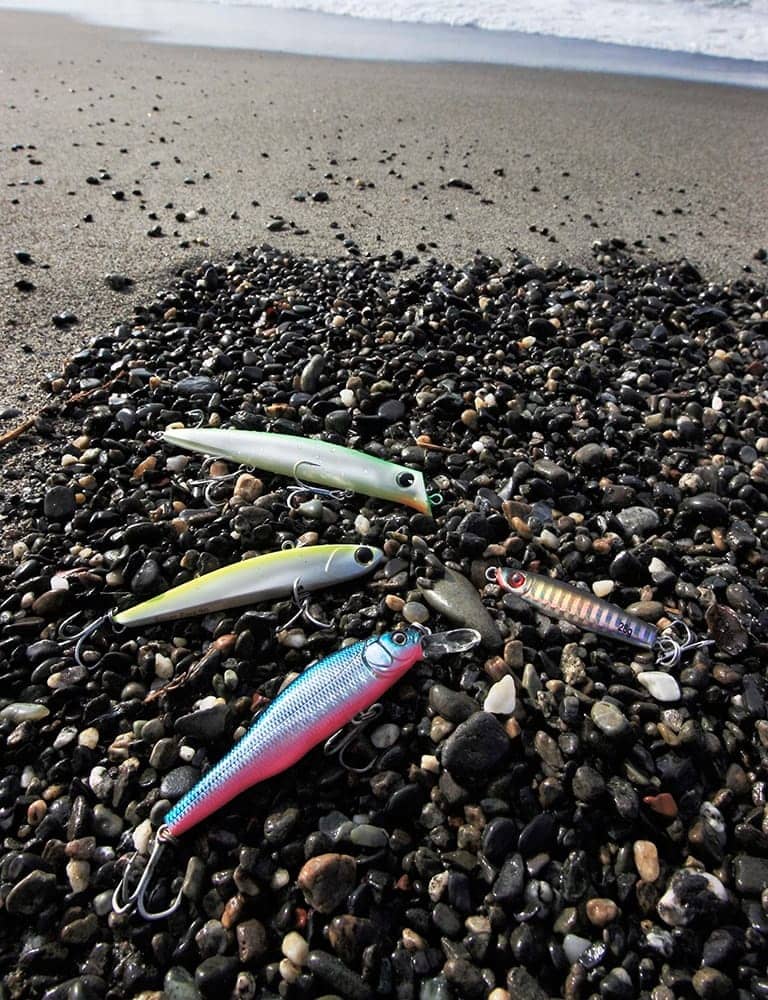 近年、大ブームになった海のルアー釣り。対象魚が非常に多彩で、思わぬ出会いがあるのも魅力だ。砂浜のメインターゲットはヒラメ、マゴチ、スズキなど