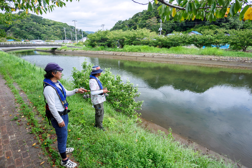 大賀茂川／浜條橋下流