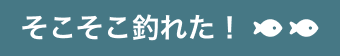 そこそこ釣れた！