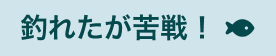 釣れたが苦戦！